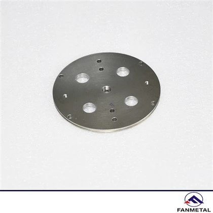 Tungsten Heavy Alloy Implant Part